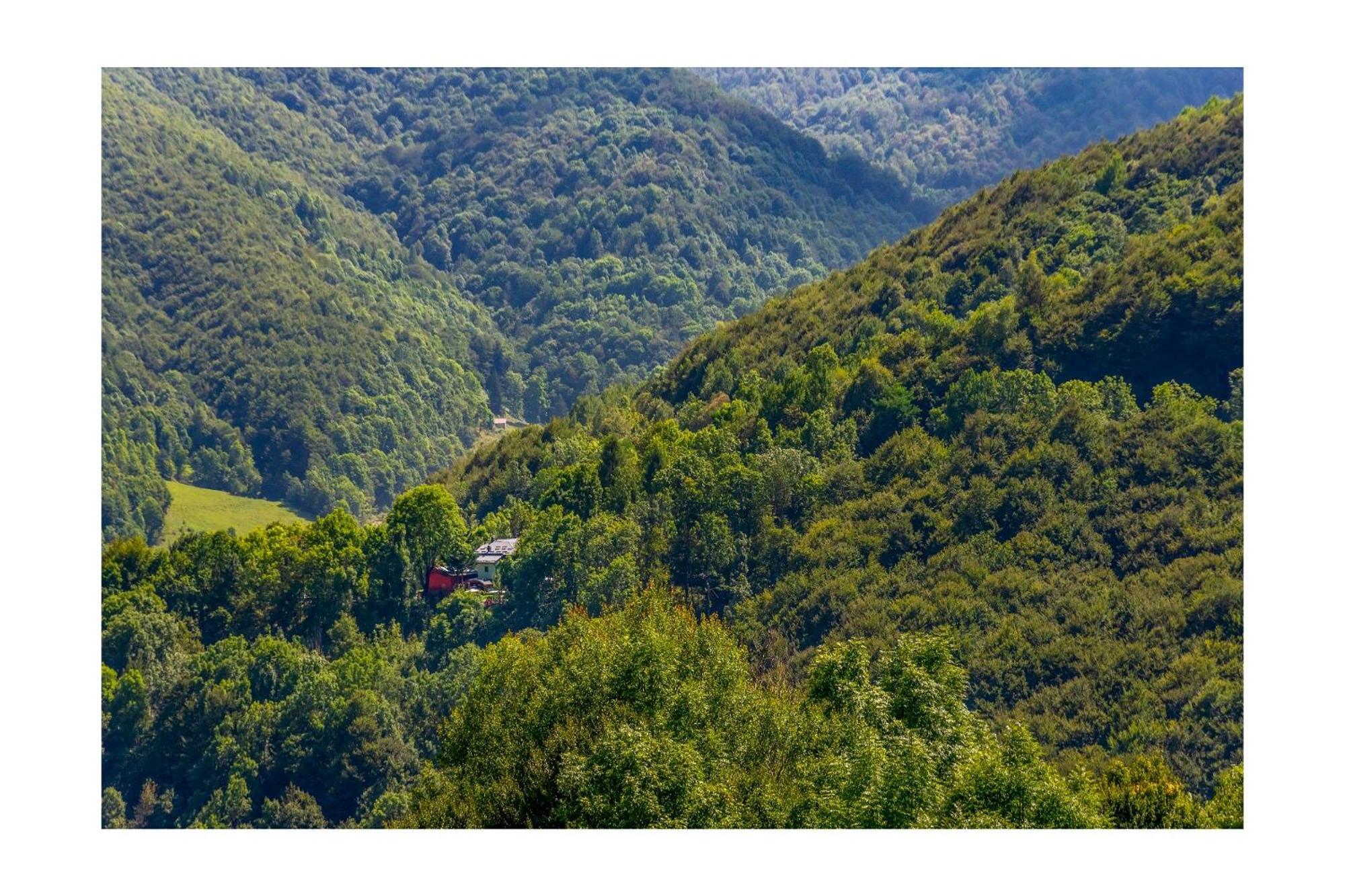 Chalet Bragard Limone Piemonte Kültér fotó