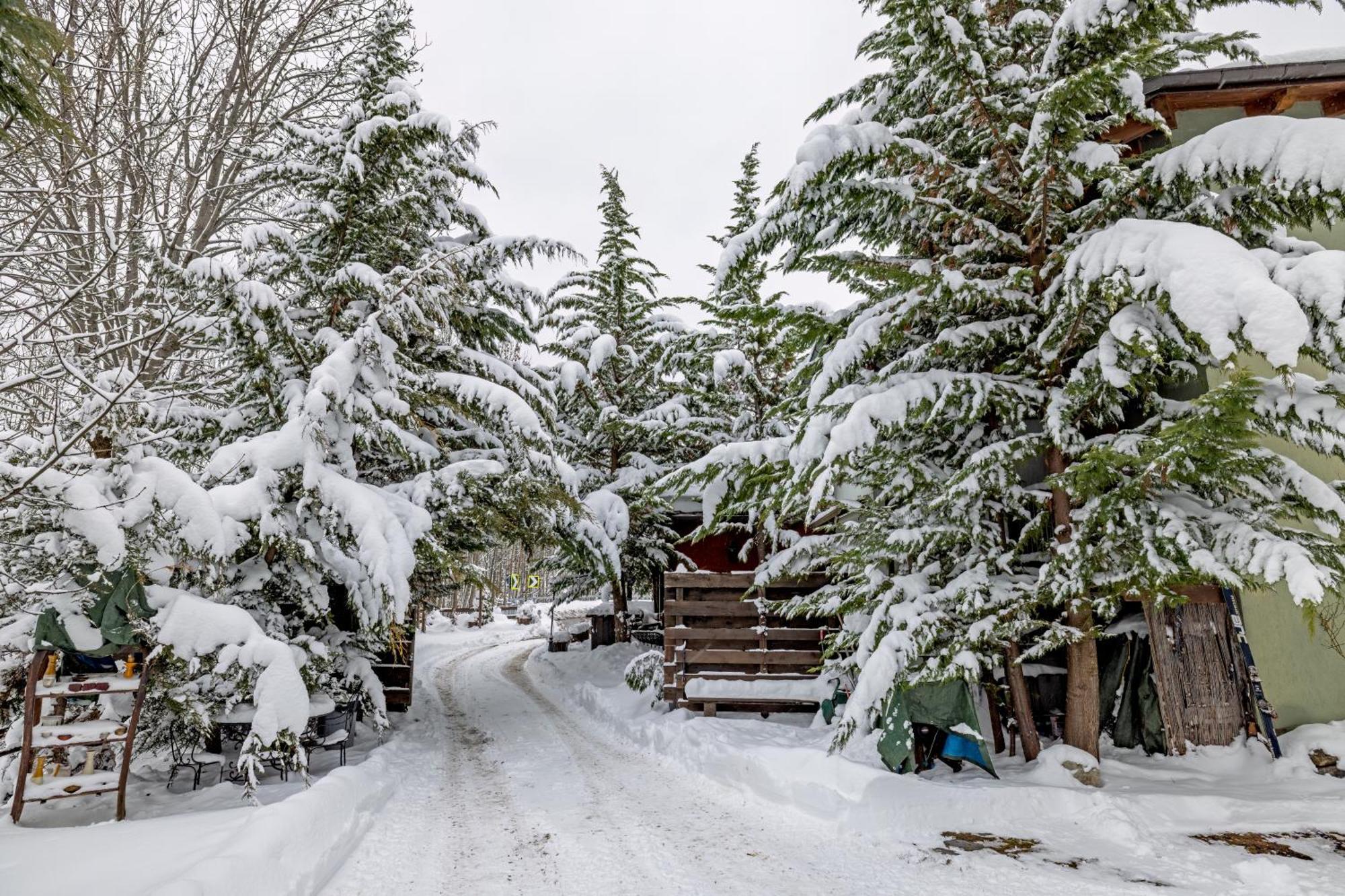 Chalet Bragard Limone Piemonte Kültér fotó